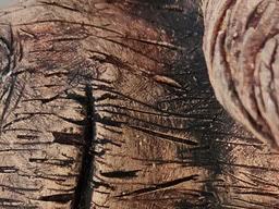 Actual purejsimage crop from the measured photo