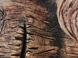 Actual source crop from the measured photo