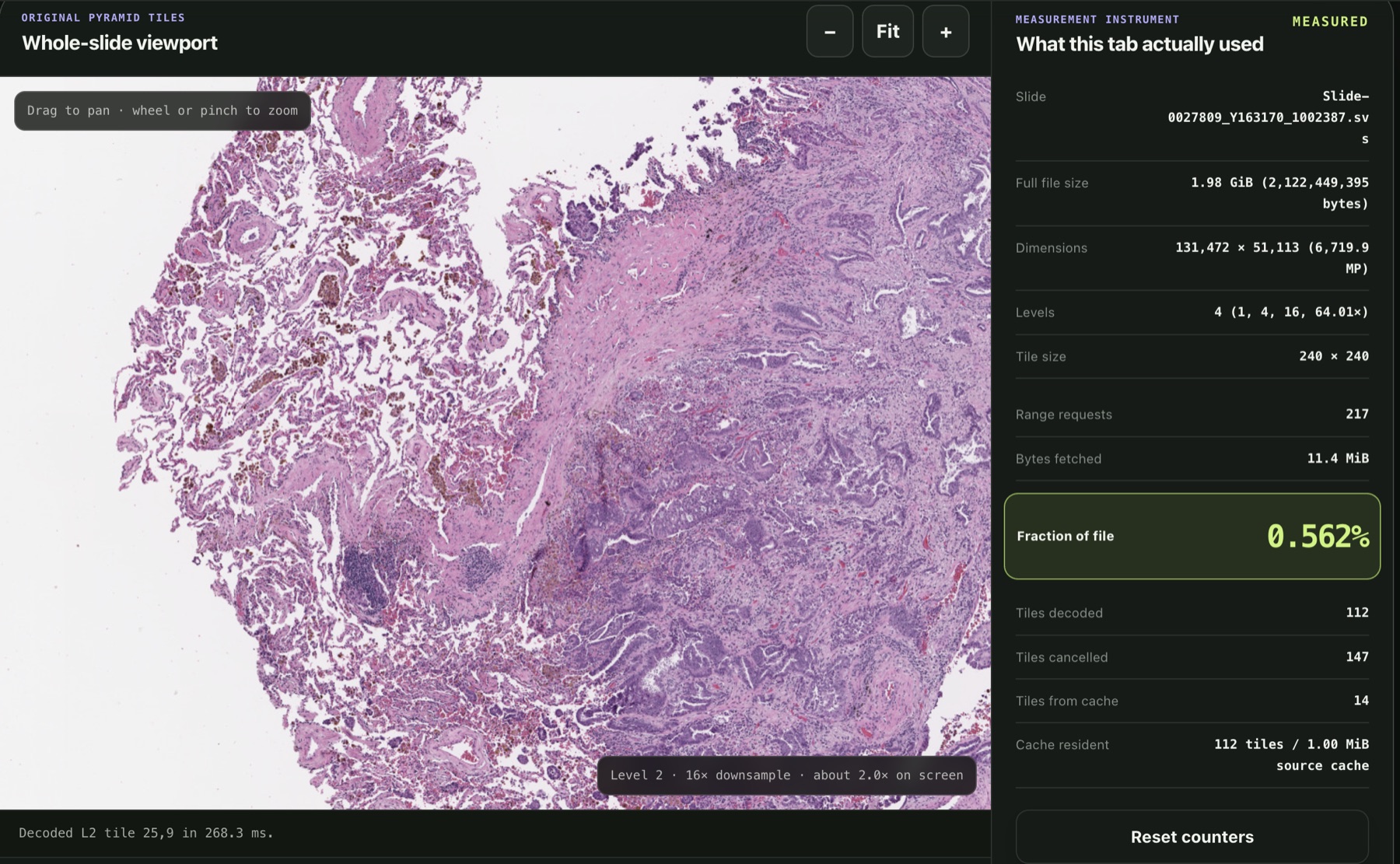 PureJsImage whole-slide viewer showing a pathology tissue section beside live measurements for a 2.12 GB Aperio SVS slide